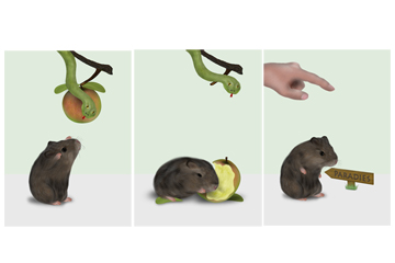 Hamster im Paradies
